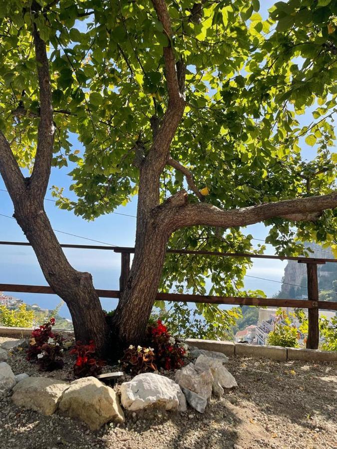 Casa Enzo Con Vista Mare Daire Amalfi Dış mekan fotoğraf